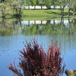 Shady Lakes RV Resort - Beautiful day at the lake.