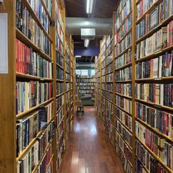 The Iliad Bookshop - Inside