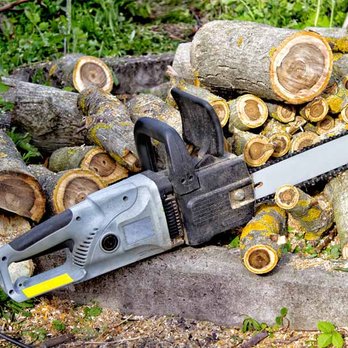 Daniel’s Tree Service - Tree Services Near Me - Culpeper, Virginia Daniel’s Tree Service - Tree Services Near Me - Culpeper, Virginia