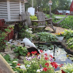 The Cupola Inn - Enjoy the peace and quiet and cats!