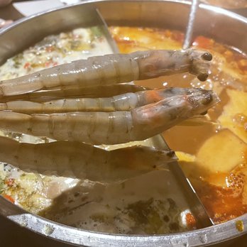 Happy Lamb Hot Pot - Fresh shrimps on the stickers - Chinese Near Me - Flushing, New York Happy Lamb Hot Pot - Fresh shrimps on the stickers - Chinese Near Me - Flushing, New York