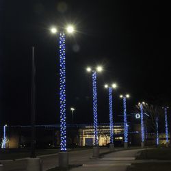 Nite Scapes