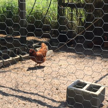 A Simpler Place Farm & Market - Farmers Market Near Me - Riverview, Florida