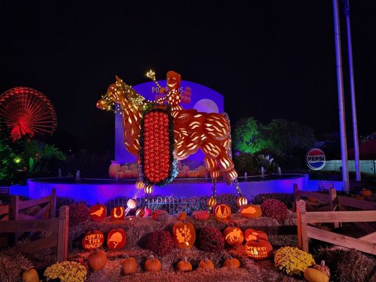 Kentucky Kingdom Theme & Water Park by null