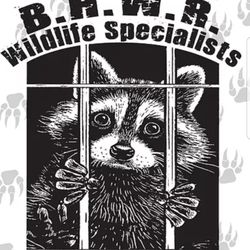 BHWR Wildlife Specialists