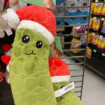 Petco - Pet Training Near Me - Attleboro, Massachusetts Petco - Pet Training Near Me - Attleboro, Massachusetts