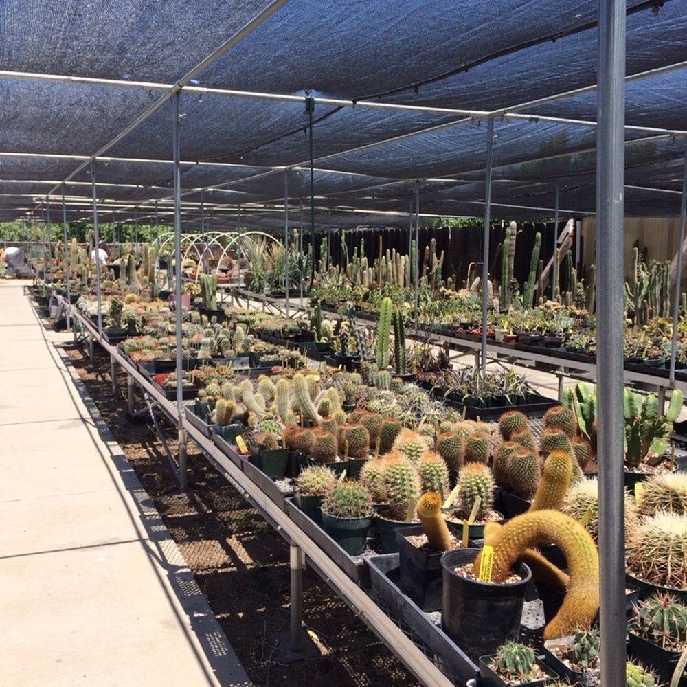 Poot's Cactus Nursery - Nurseries & Gardening Near Me - Ripon, California Poot's Cactus Nursery - Nurseries & Gardening Near Me - Ripon, California