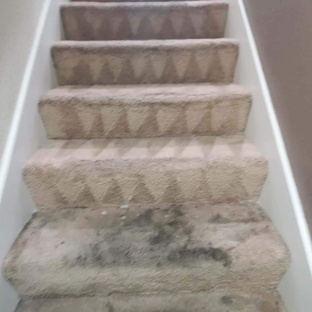 Pocoto Services - Home Cleaning Near Me Pocoto Services - Home Cleaning Near Me