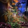Madame Theodore’s Floral Academy for Wayward Travelers