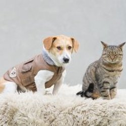 Plum Creek Veterinary Services
