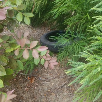 Pop-A-Lock - Tire in the bushes - Keys & Locksmiths Near Me Pop-A-Lock - Tire in the bushes - Keys & Locksmiths Near Me