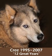 Wolf Mountain Vineyards by null