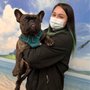 Photo of Town & Country Veterinary Hospital