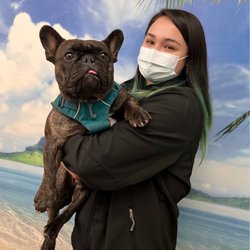 Town & Country Veterinary Hospital