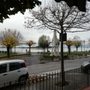 Photo of Ristorante da Settimio