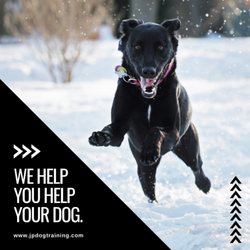 JP Dog Training