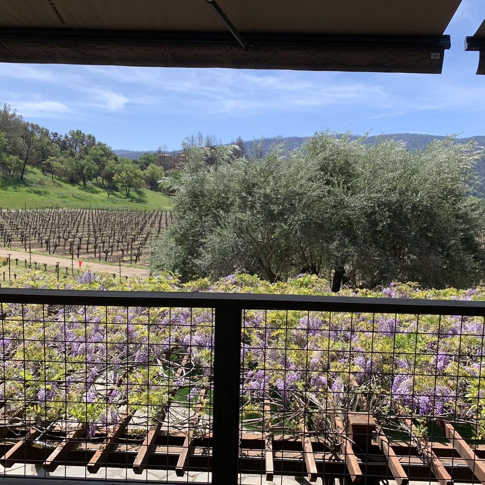 Venge Vineyards - Beautiful view from the tasting table - Wineries Near Me - Calistoga, California Venge Vineyards - Beautiful view from the tasting table - Wineries Near Me - Calistoga, California