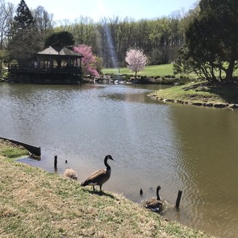 Wheaton Regional Park - Parks Near Me - Wheaton, Maryland