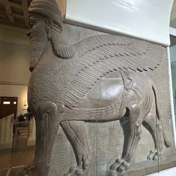 The British Museum - Museums Near Me - London, XGL