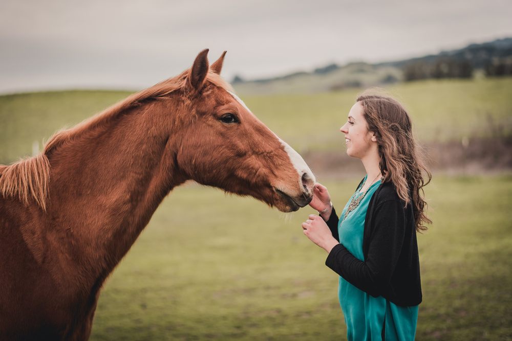 HOOF BEATS Updated October 2024 11 Photos 1180 Stage Gulch Rd
