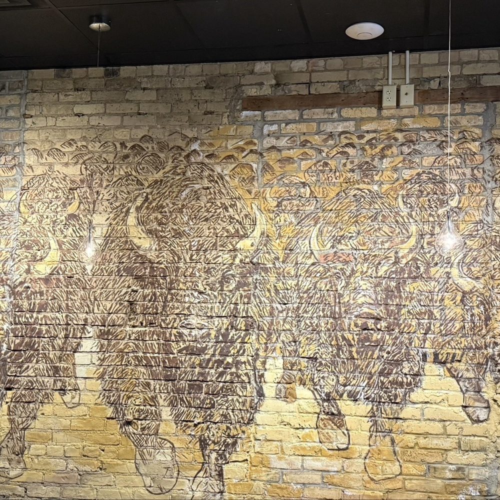 The Toasted Frog - New wall mural - painted by ND native, Casey Opstad. - New American Near Me - Fargo, North Dakota The Toasted Frog - New wall mural - painted by ND native, Casey Opstad. - New American Near Me - Fargo, North Dakota
