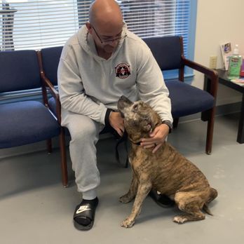 Winchester Area SPCA - Animal Shelters Near Me - Winchester, Virginia