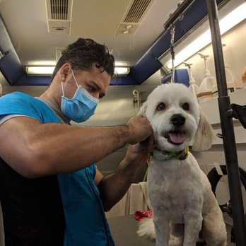Papo's Mobile Grooming - Pet Groomers Near Me Papo's Mobile Grooming - Pet Groomers Near Me