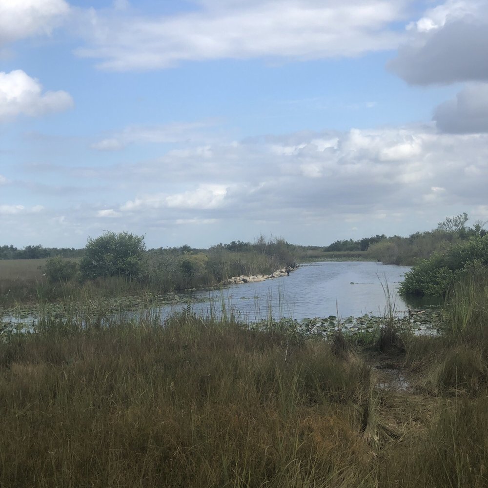 Shark Valley Tram Tours - Tours Near Me - Miami, Florida
