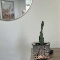 E3 Sport & Spine - Thoughtful decor touches