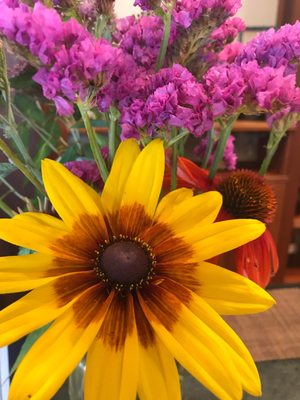 Yorba Wine Tasting by null