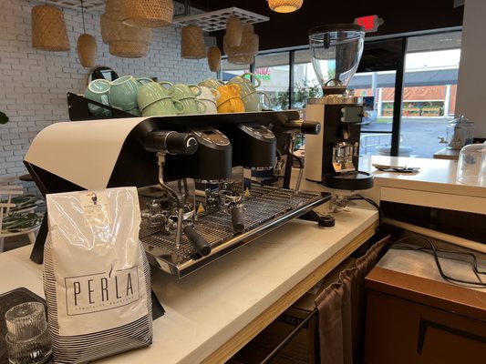 ALL YOU NEED - SUNNY by null