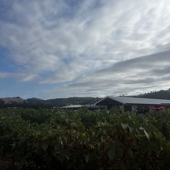 J Winston Winery - Vineyard - Wine Tasting Room Near Me - Morgan Hill, California J Winston Winery - Vineyard - Wine Tasting Room Near Me - Morgan Hill, California