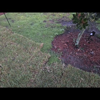 EBP Landscaping - Uneven - Lawn Services Near Me EBP Landscaping - Uneven - Lawn Services Near Me
