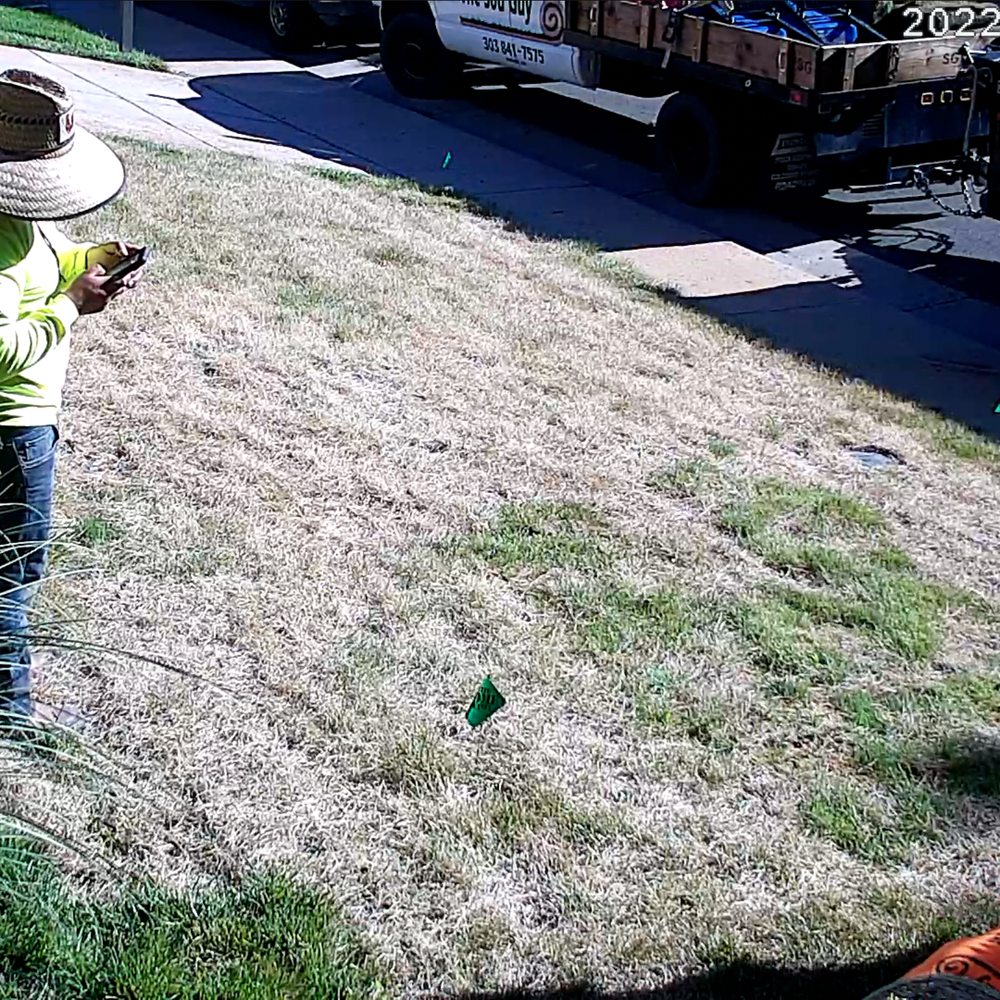 Before, some disease just destroyed my lawn. So sad. Before, some disease just destroyed my lawn. So sad.