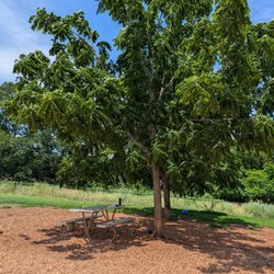 Darden Towe Dog Park - Some decent seating in the shade under several trees