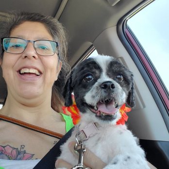 Johnny's Doghouse - This is Destiny on her way home from Johnny's Dog House, she is so calm and so happy! - Pet Groomers Near Me - Tempe, Arizona