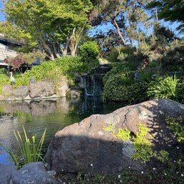 Patio with Koi pond Patio with Koi pond