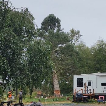 Hitman Tree - Tree being removed near trailer. (2) - Tree Services Near Me - Kirkland, Washington Hitman Tree - Tree being removed near trailer. (2) - Tree Services Near Me - Kirkland, Washington