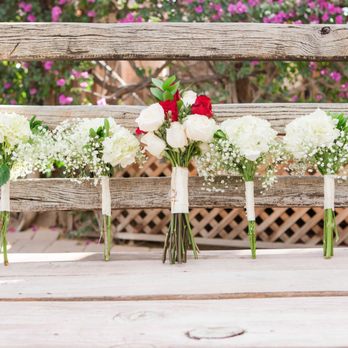 Boojum Tree Hidden Gardens - Bridal party - Wedding Planning Near Me - Phoenix, Arizona