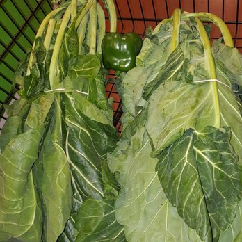 Niagara County Produce - Fruits & Veggies Near Me - East Amherst, New York Niagara County Produce - Fruits & Veggies Near Me - East Amherst, New York