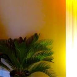Angel East Massage