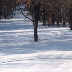 High Country Acres - One of the trails we will be coming back for!