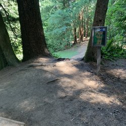Lake Stevens Disc Golf Course