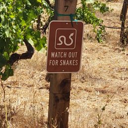 Lots of snakes on the property but we didn't see any! Lots of snakes on the property but we didn't see any!
