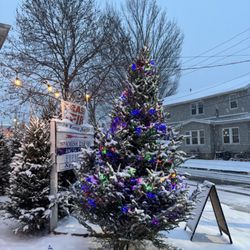 Reeves Fruit Market - Outside during Christmas season