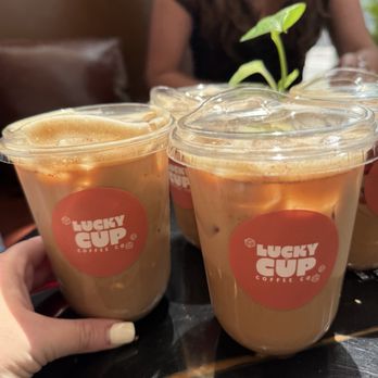 Lucky Cup - Maple latte, oh honey latte, Black Forest latte, and banana bread latte - Coffee & Tea Near Me - St. Petersburg, Florida