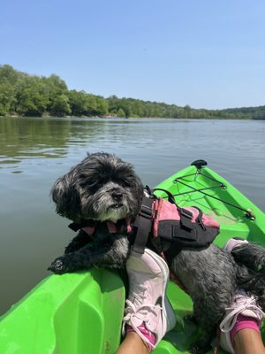 Boating In DC at Fletcher's Cove by null