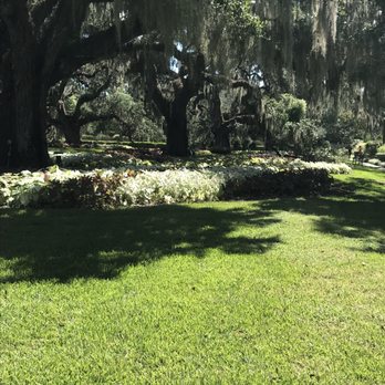 Brookgreen Gardens - Lucious beauty. - Museums Near Me - Murrells Inlet, South Carolina