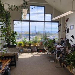 Lawley Bookkeeping & Accounting - Our beautiful office