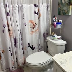Black Dog Plumbing - Replaced toilet.